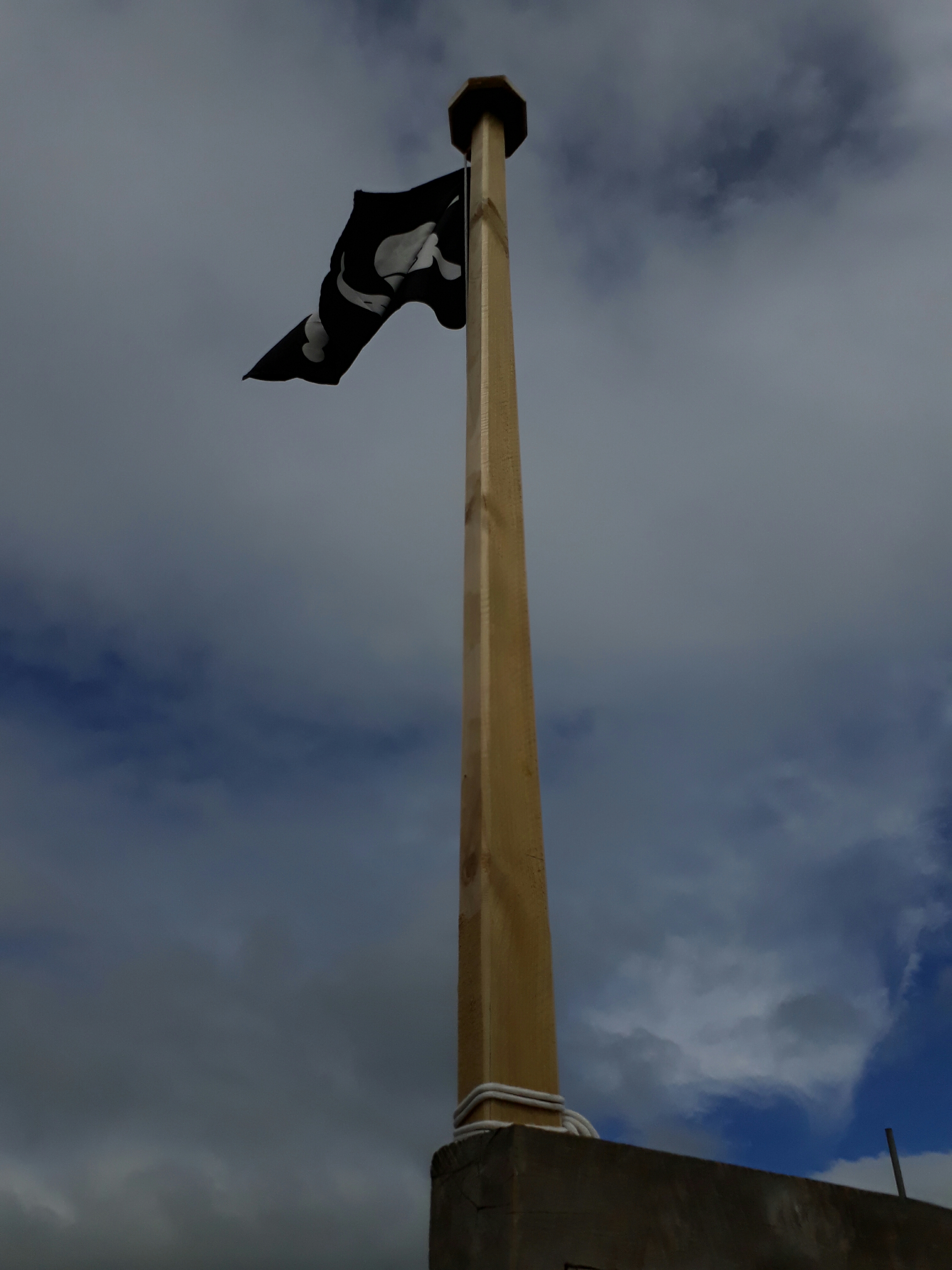 Pirate Flag & Pole Image